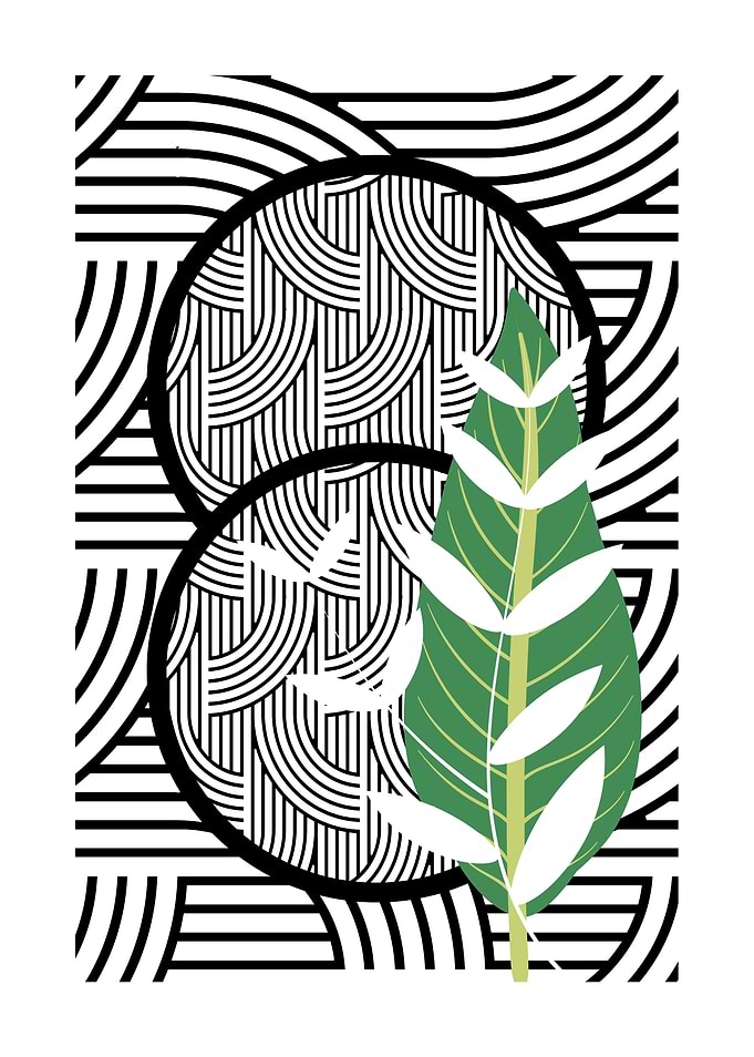 Black and White Abstract Art with Green Leaf