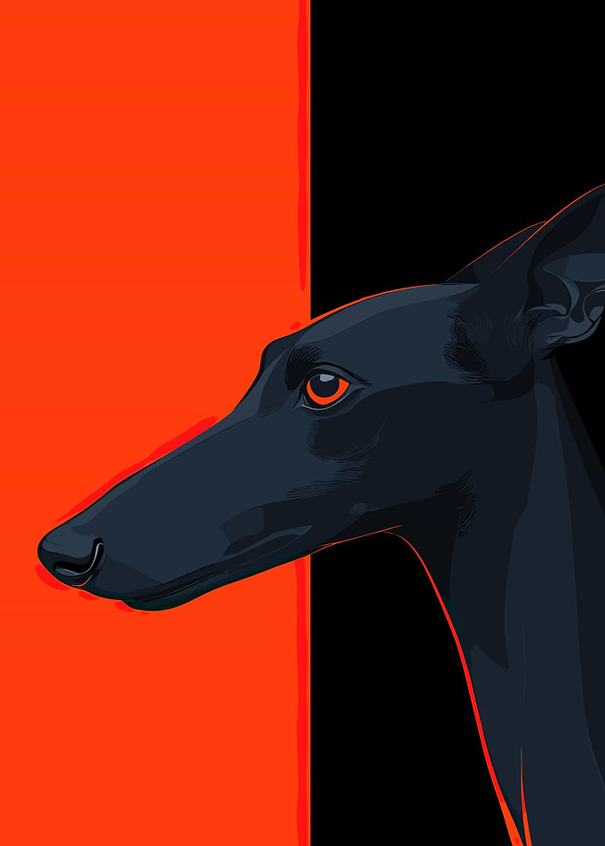 Black Greyhound Portrait