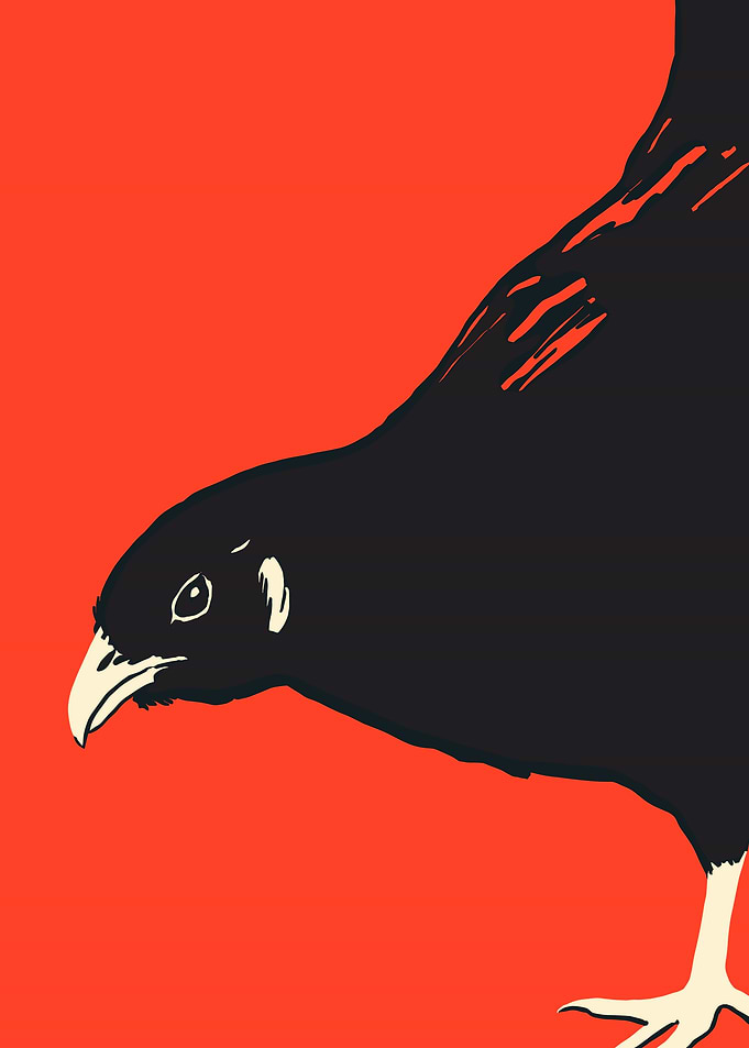Black Bird on Red