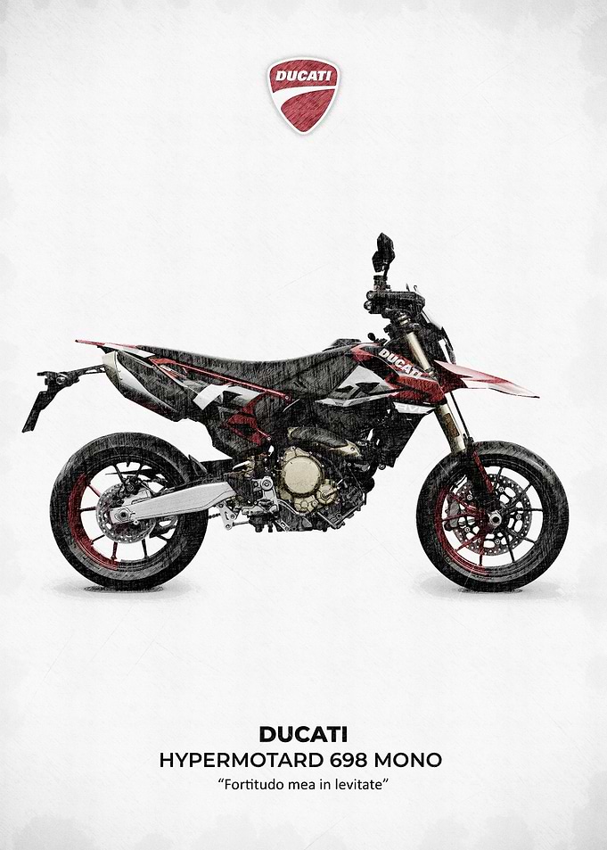 Ducati Hypermotard 698 Mono