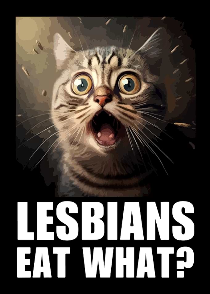 Surprised Cat Meme