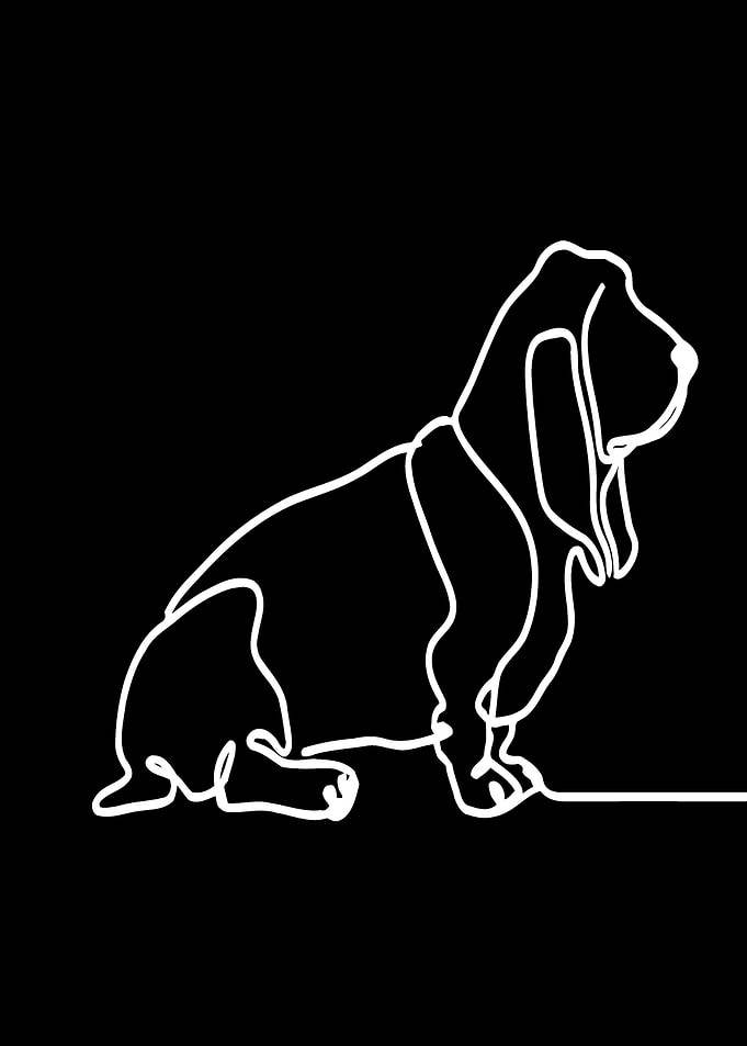 Basset Hound Line Art
