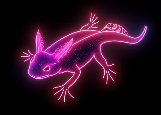Neon Axolotl Illustration