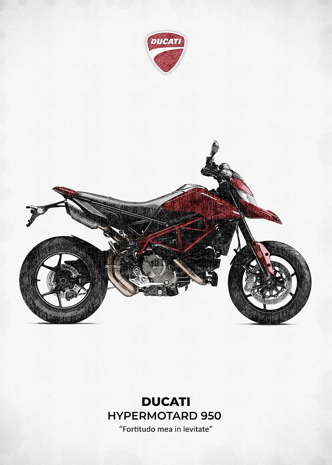 Ducati Hypermotard 950 Motorcycle