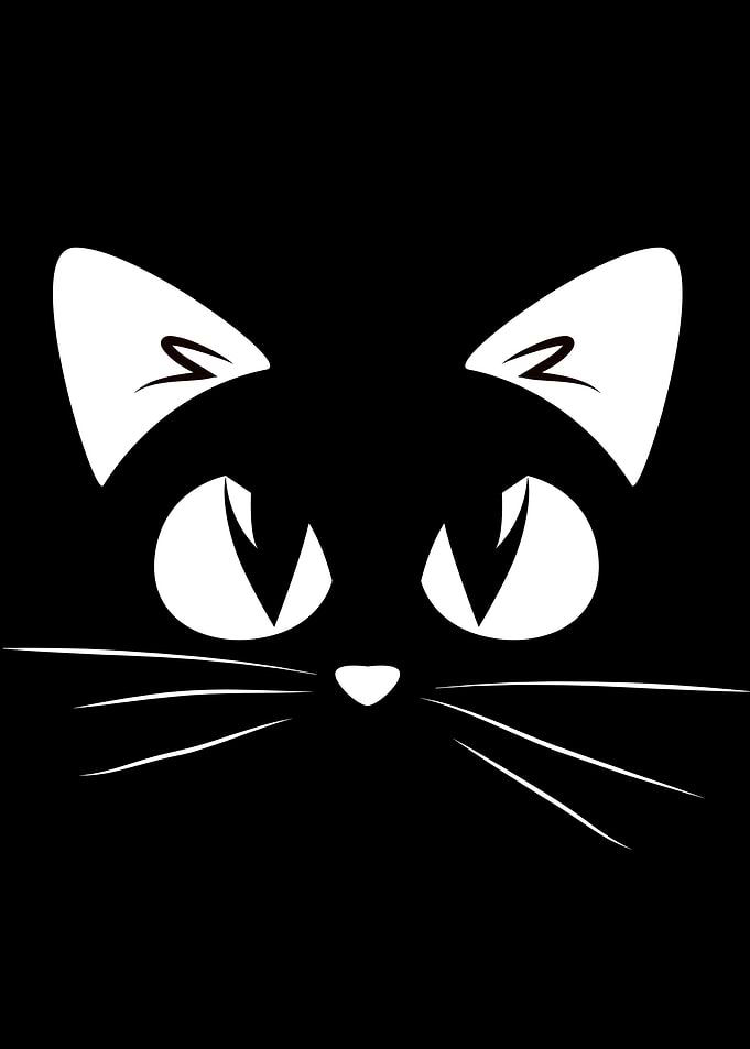 Cute gray CAT head epic Cute CAT for cat lovers & CAT owners