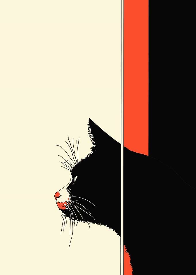 Black Cat Silhouette