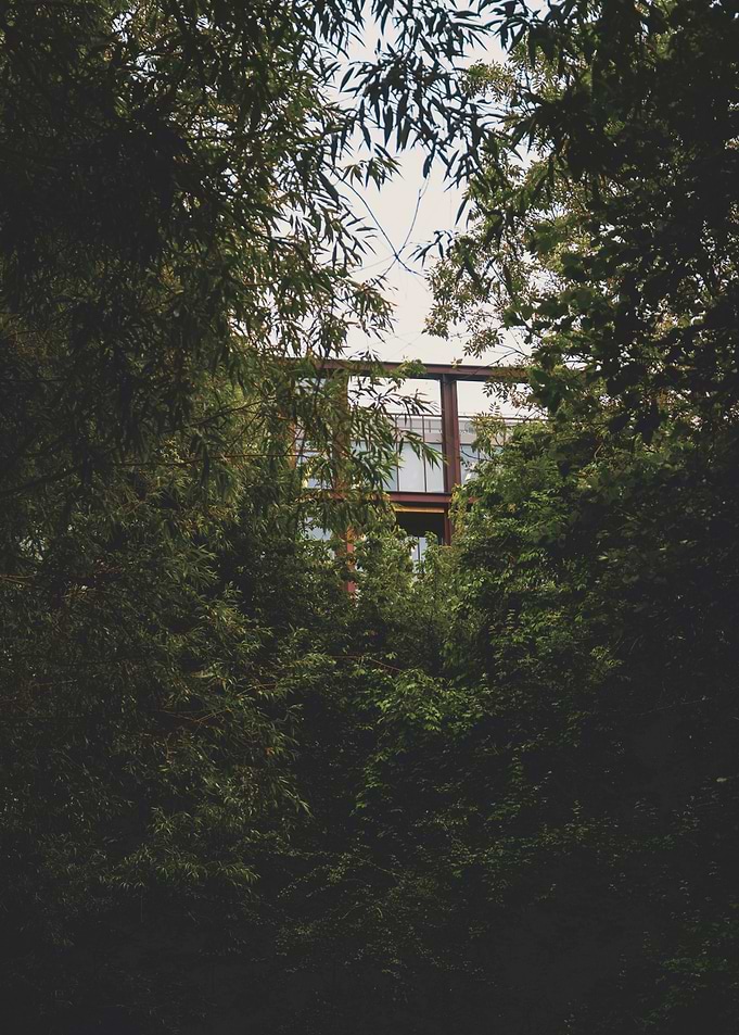 Tall building seen through the trees in London, England.
