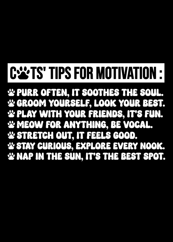 cats' tips for motivation funny cats tips