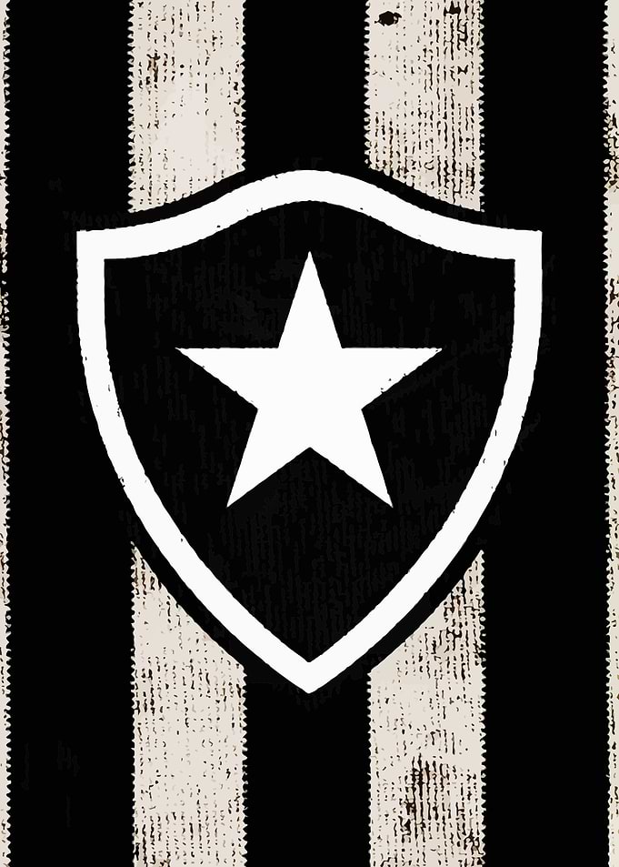 Botafogo de Futebol e Regatas