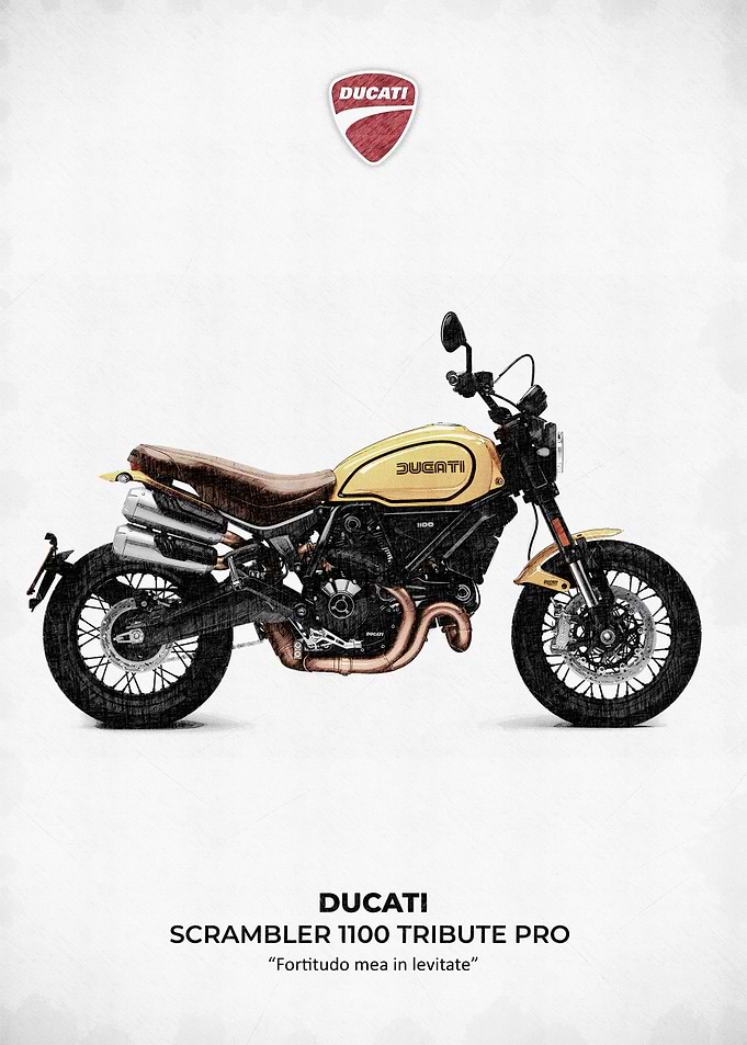 Ducati Scrambler 1100 Tribute Pro