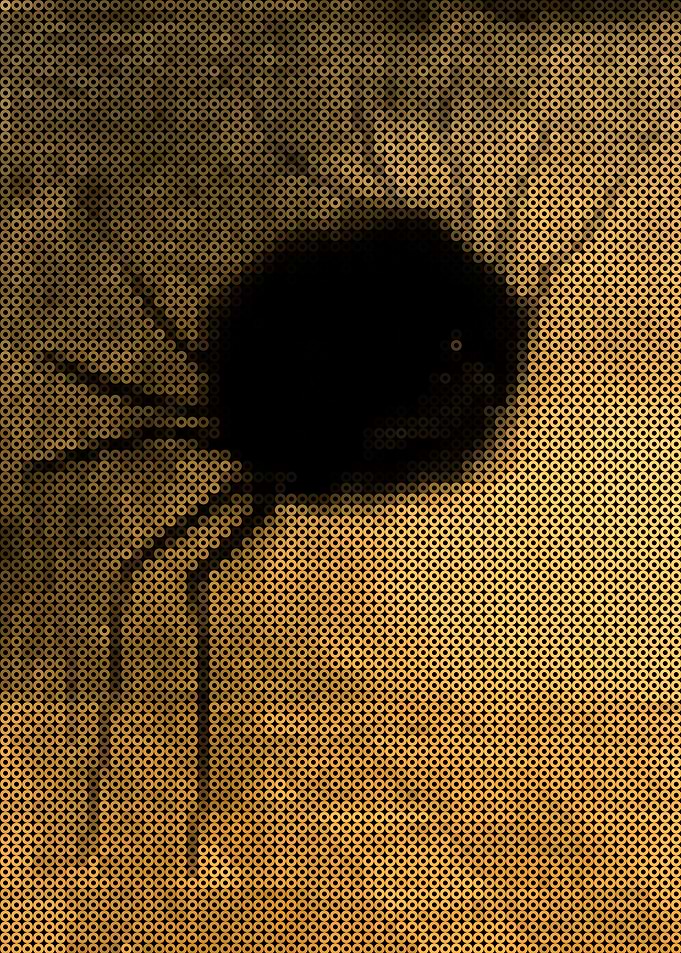 The Smiling Spider by Odilon Redon