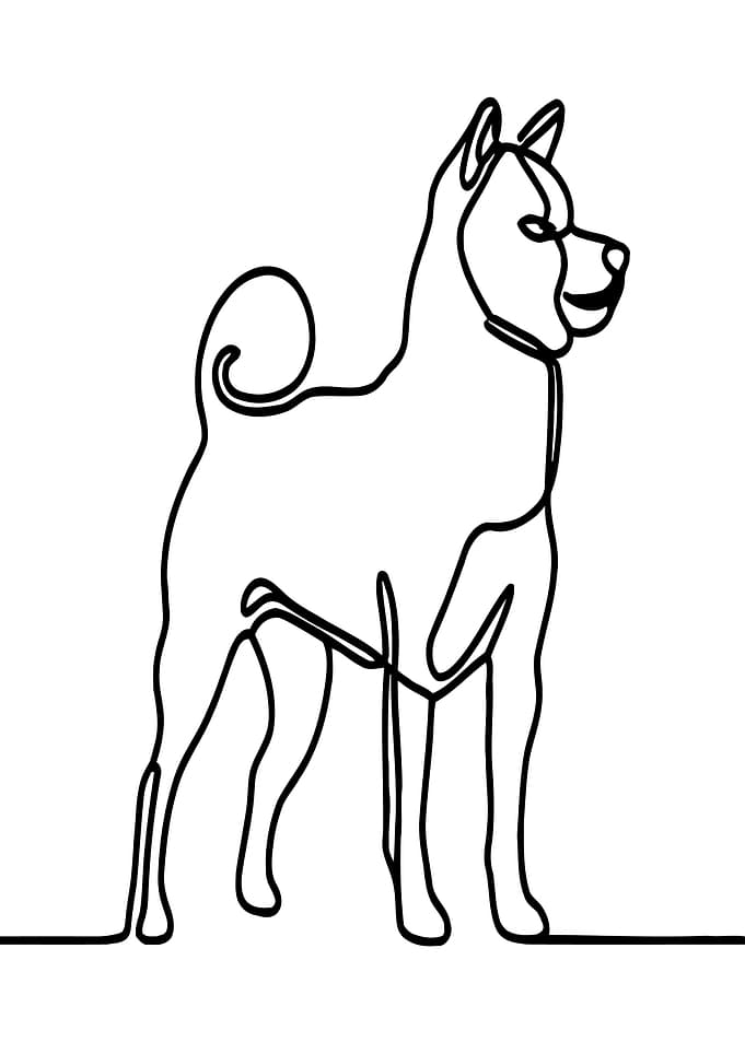 Akita Dog Line Art