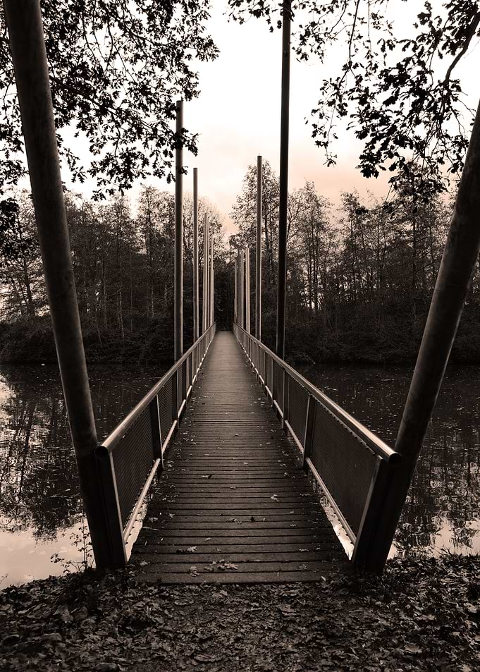 Wooden Bridge in Forest