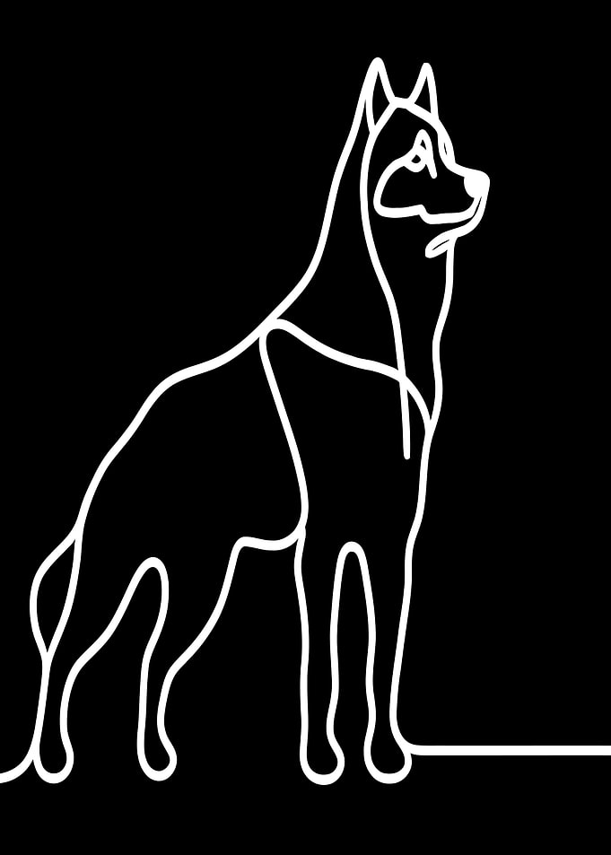 Line Art Husky