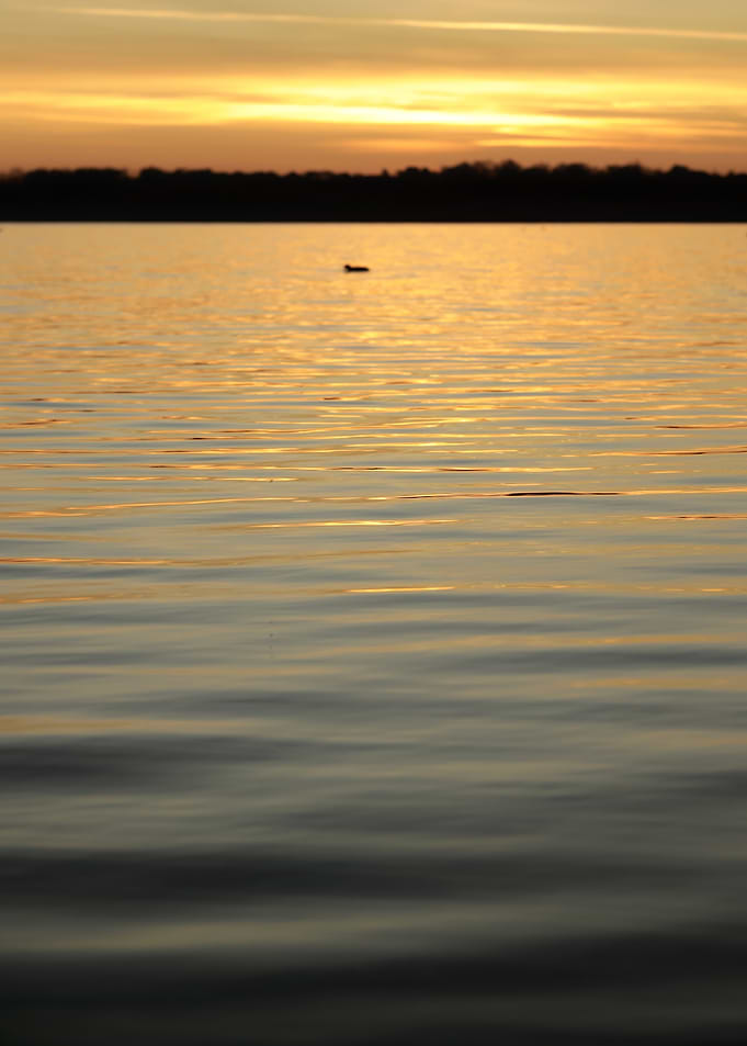 Golden Sunset Over Water