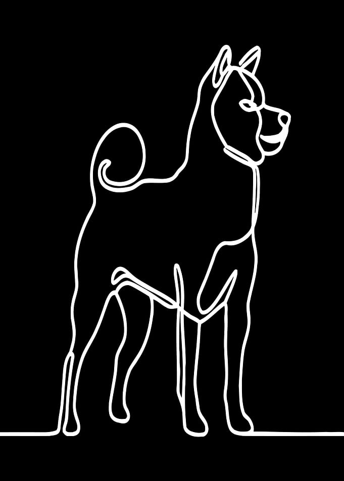 Akita Dog Line Art