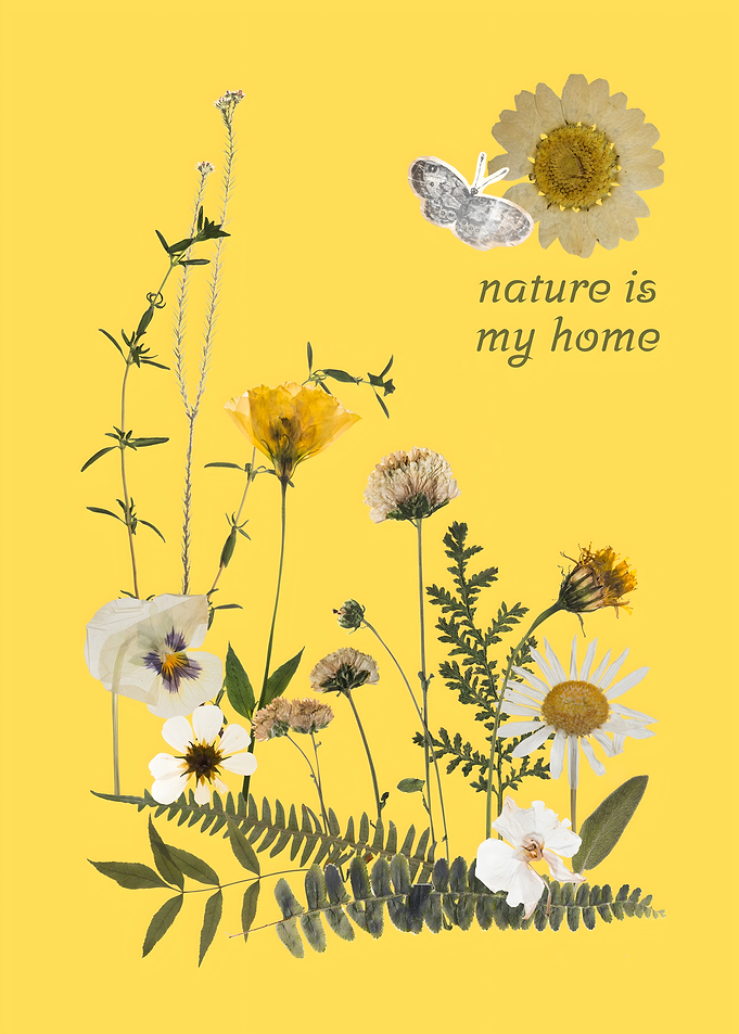 Pressed Flower Art