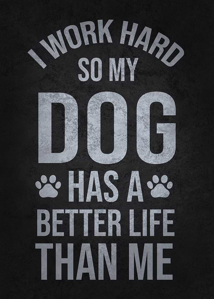 I Work Hard So My Dog Has a Better Life
