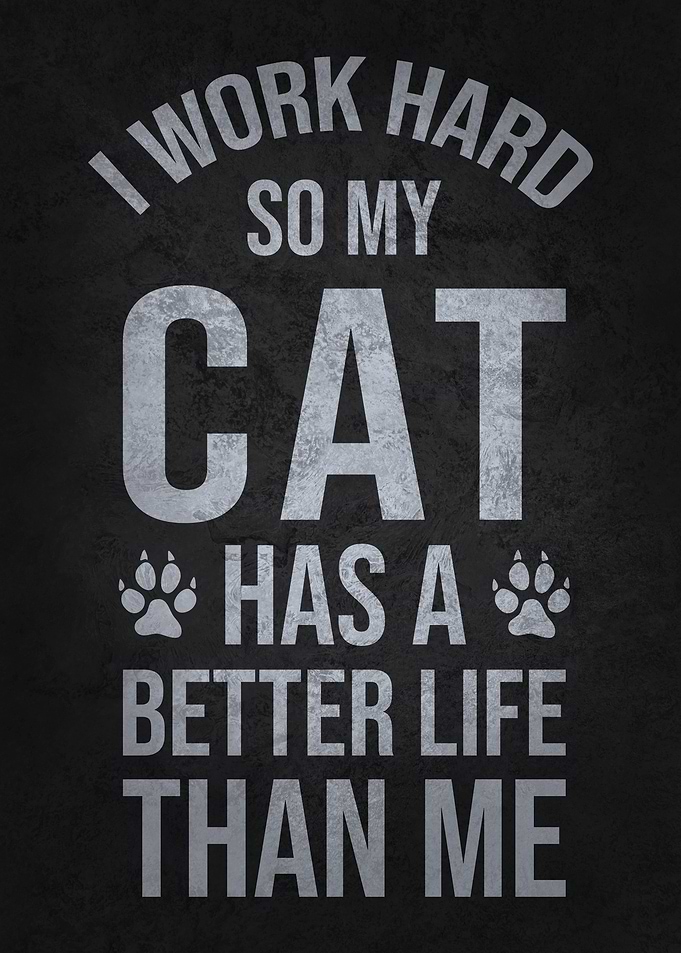 I Work Hard So My Cat Has a Better Life