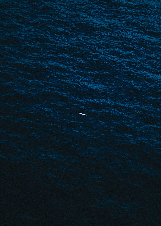Ocean Level