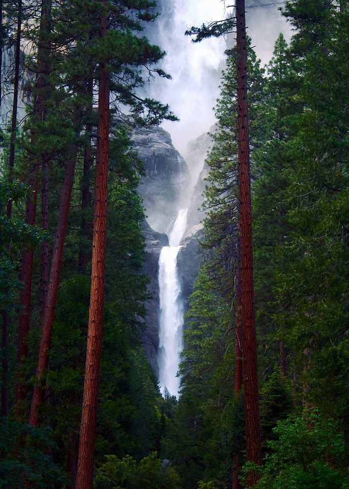 Waterfall in Forest