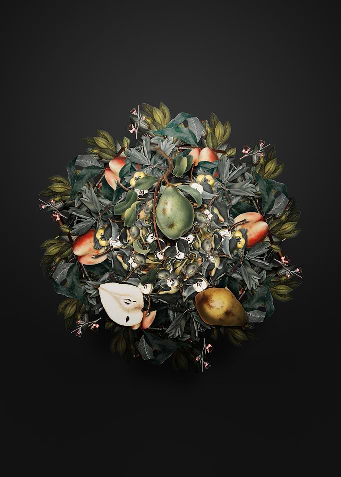 Fruit Vintage Pear Fruit Wreath Still Life
