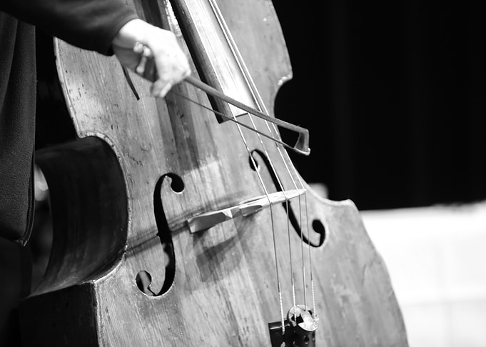 Double Bass Close-Up