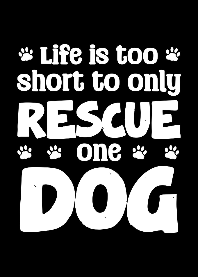 Rescue One Dog