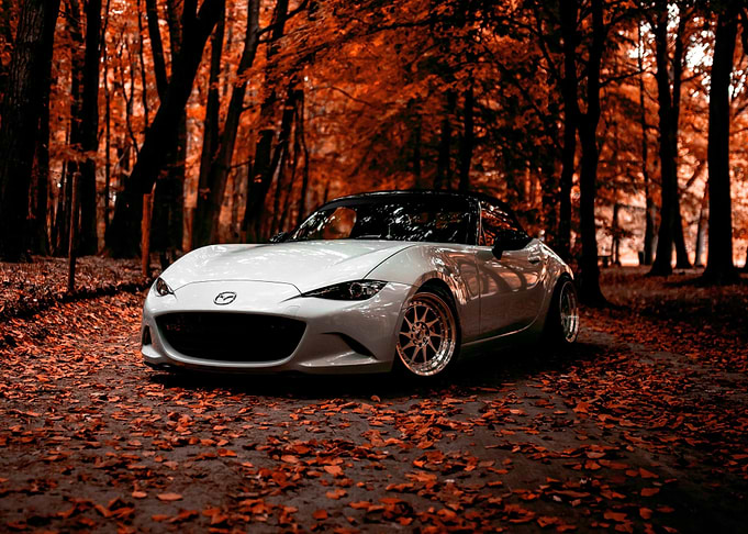 White Mazda MX-5 in Autumn