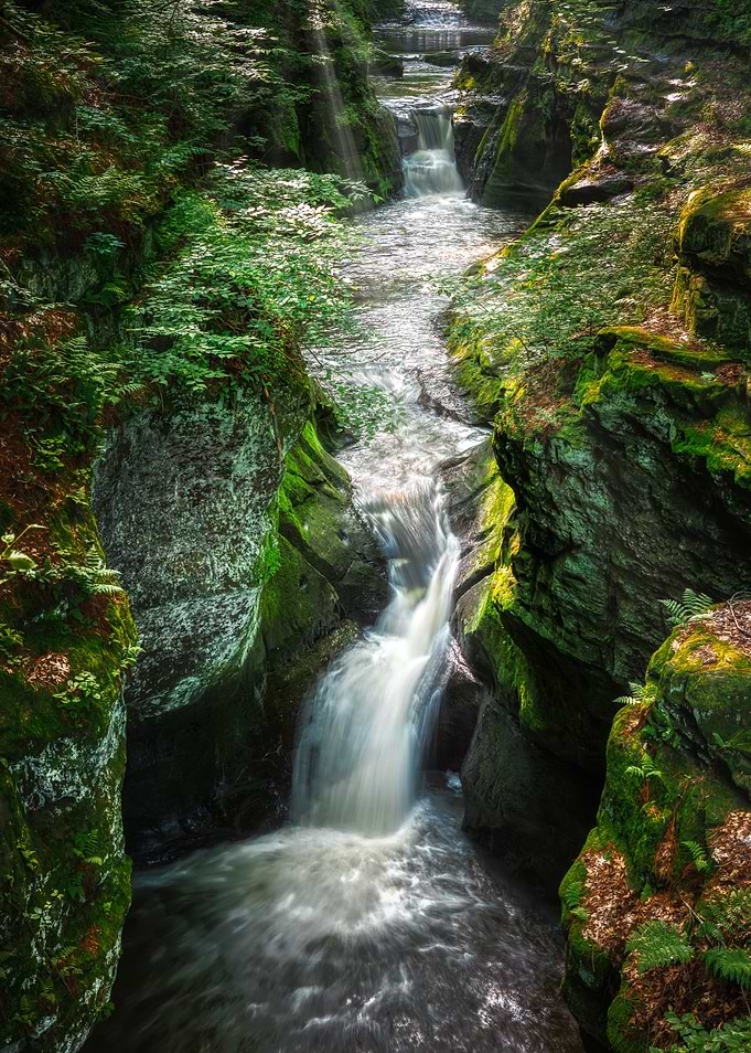 Waterfall in Lush Forest