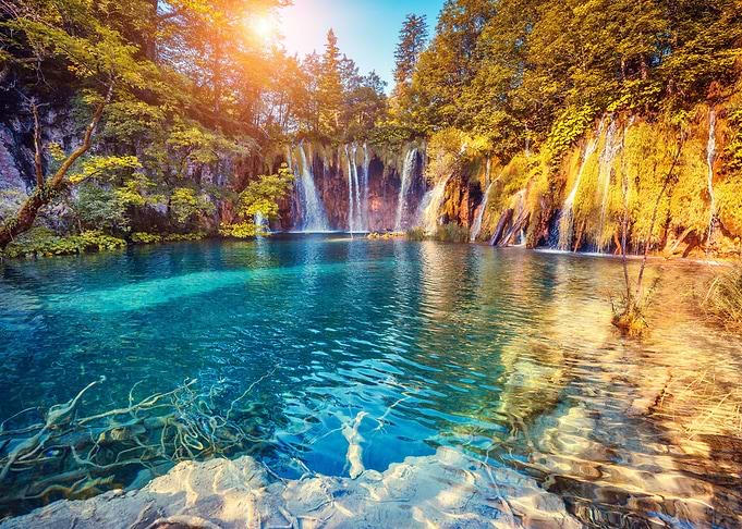 Waterfall Oasis