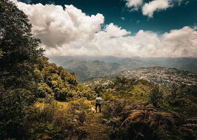 Mountaintop View with Dog