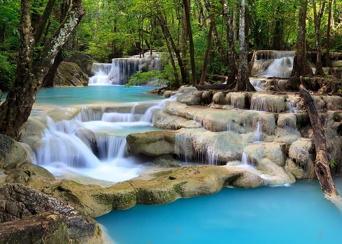 Serene Waterfall in Lush Forest