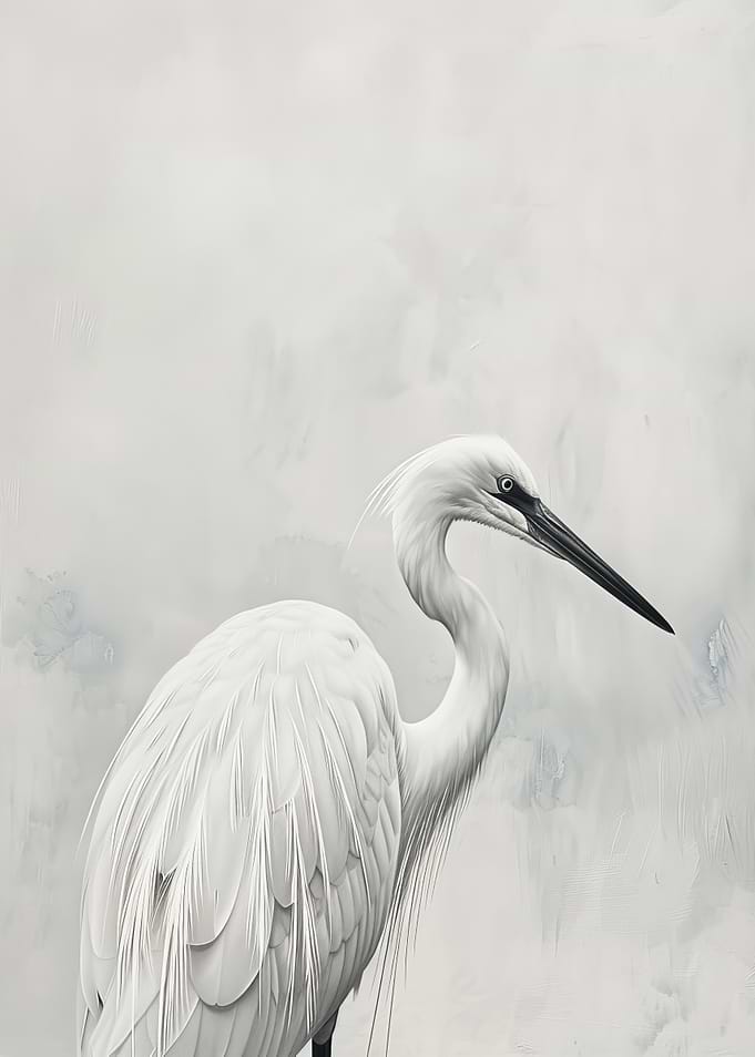 White Egret in Fog