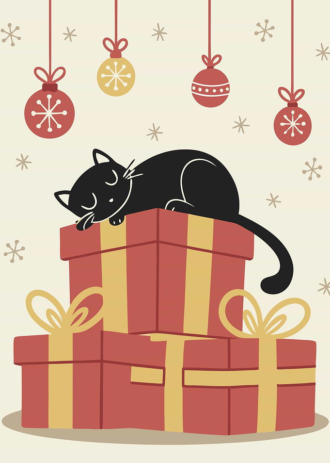 Sleeping Black Cat on Christmas Gifts