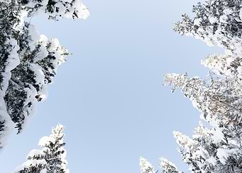 Looking Up