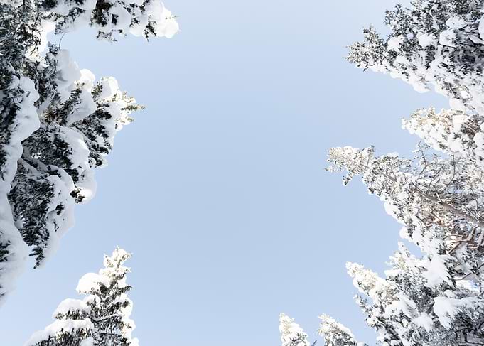 Looking Up
