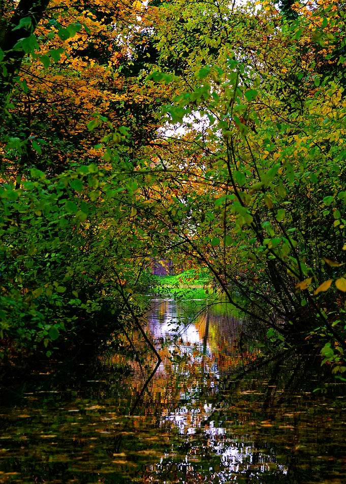 Autumn River View