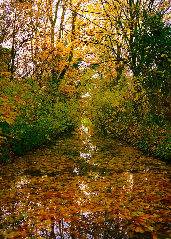 Autumn Canal