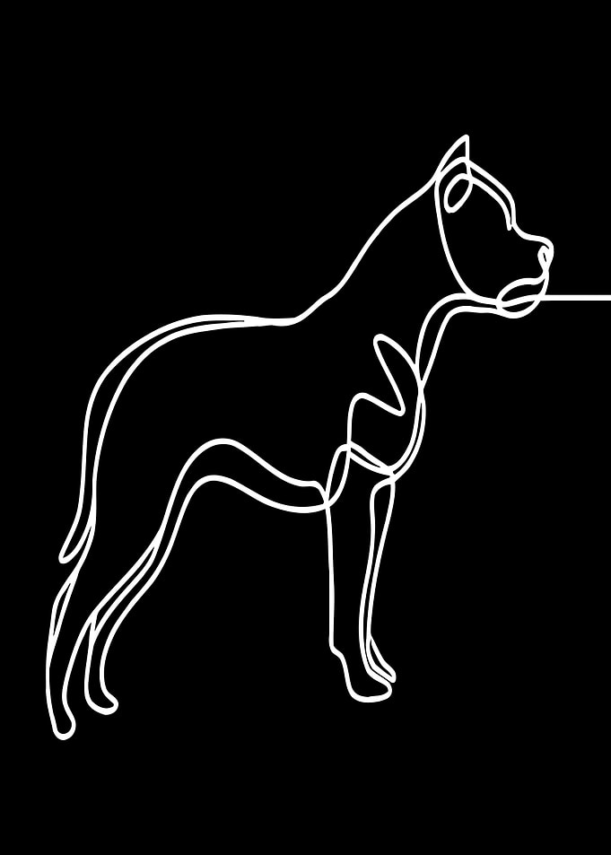 Dog Line Art