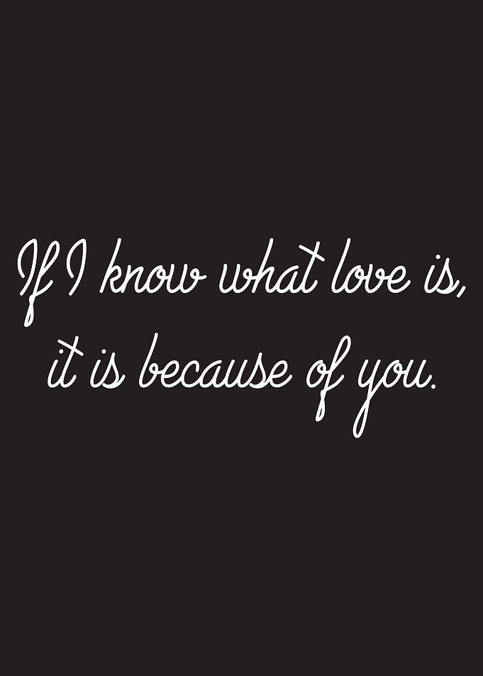 If I know what love is, it is because of you.