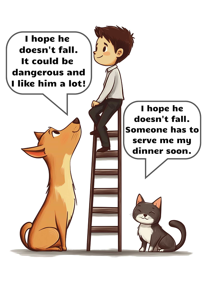 Hilarious Cat vs Dog Joke Comic Cartoon Funny Kitten