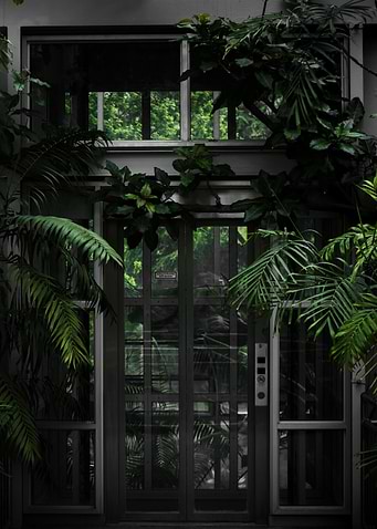 Green Doorway