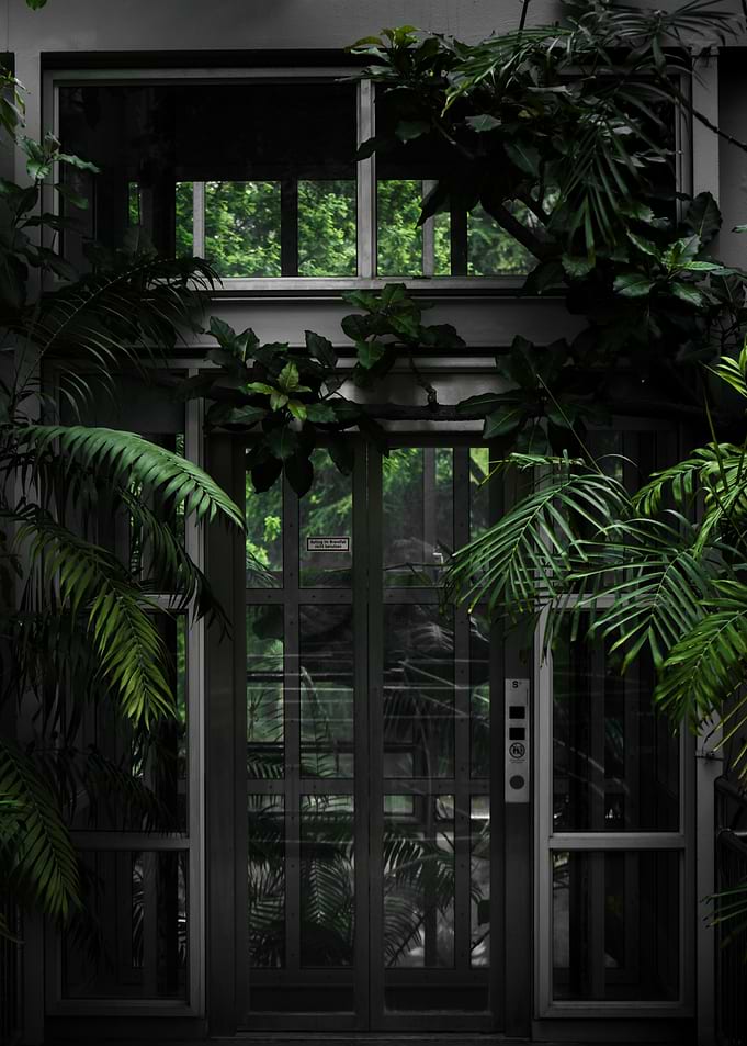 Green Doorway