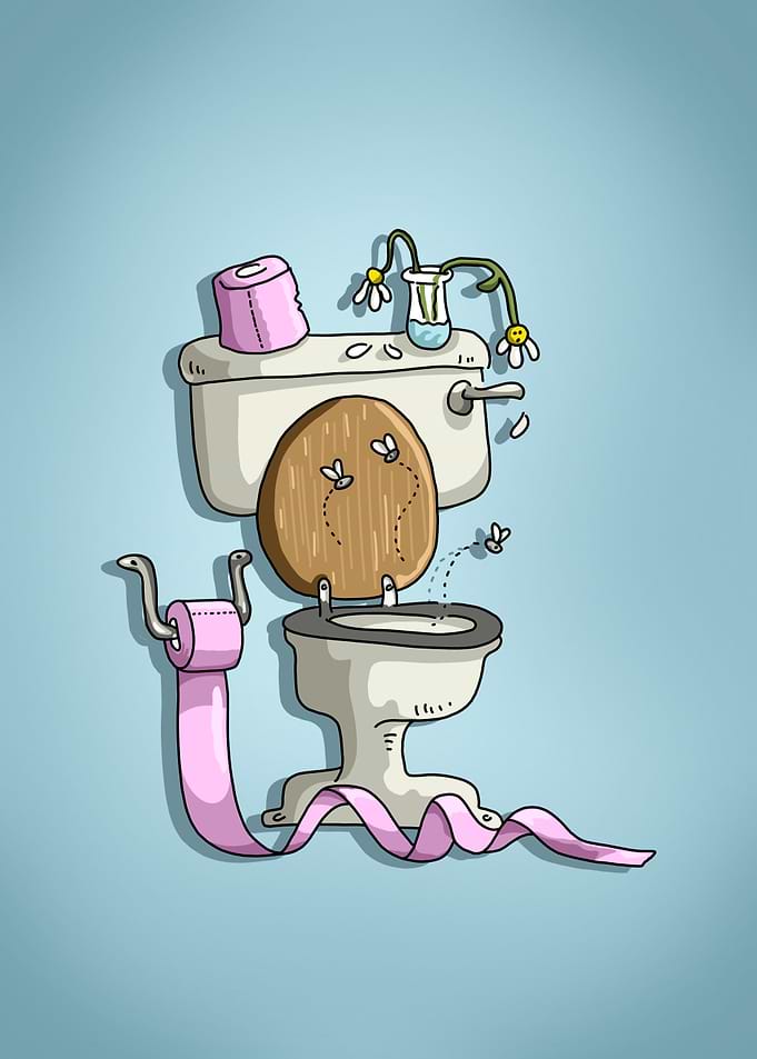 Funny old dirty Toilet comic