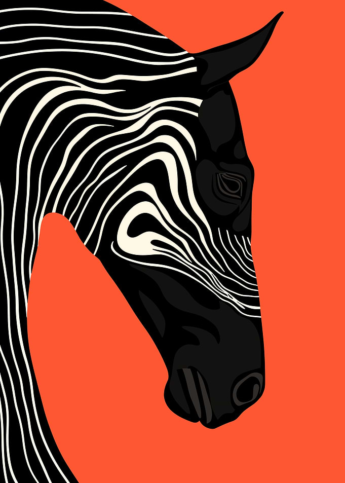 Zebra Portrait