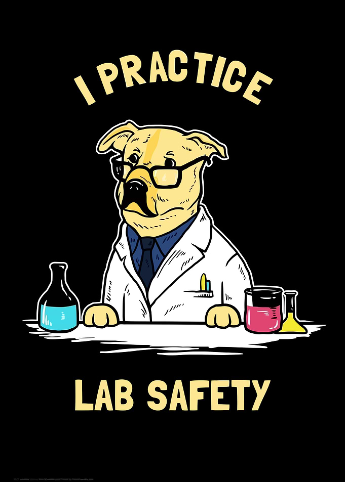 Lab Safety Dog