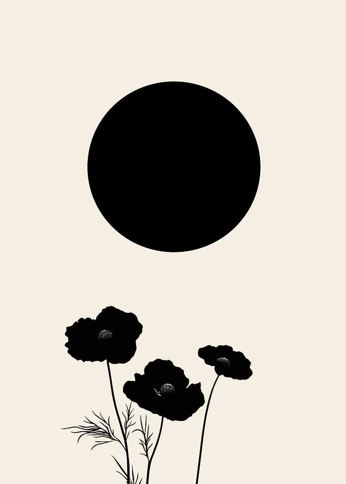Black Flowers and Circle