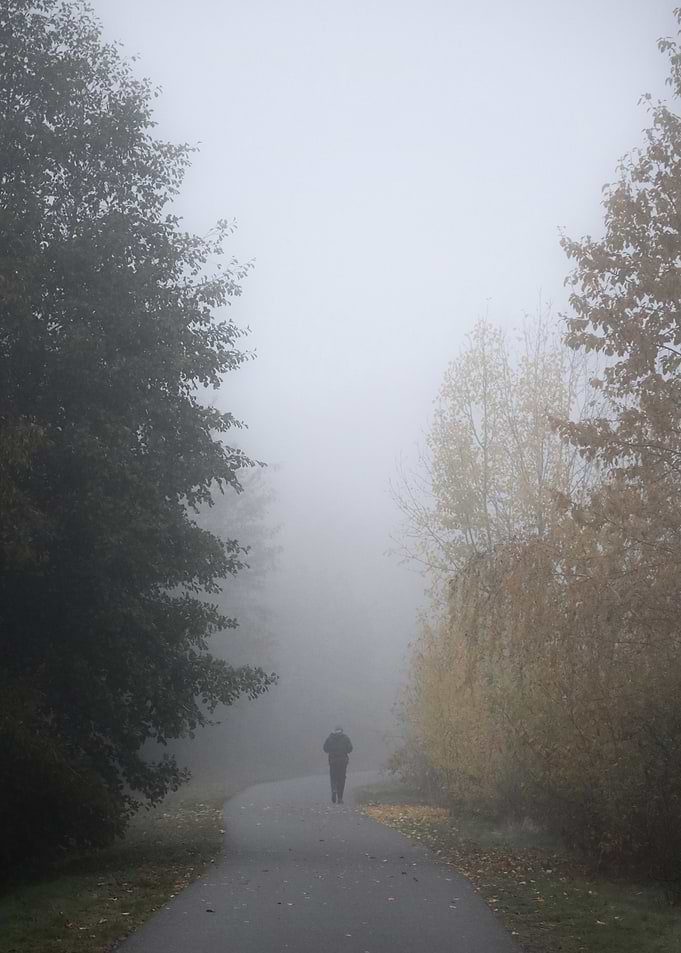 Foggy Path