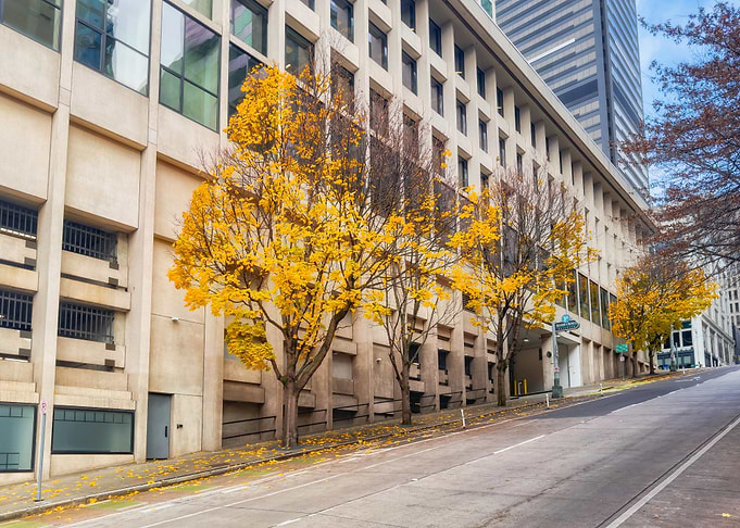 Autumn City Street